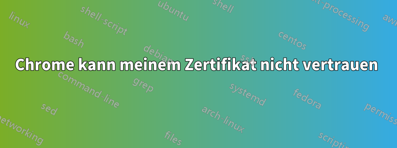 Chrome kann meinem Zertifikat nicht vertrauen