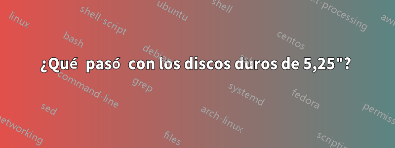 ¿Qué pasó con los discos duros de 5,25"?