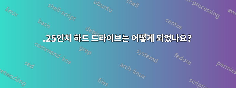 5.25인치 하드 드라이브는 어떻게 되었나요?