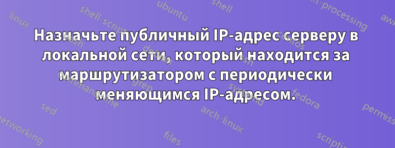 Назначьте публичный IP-адрес серверу в локальной сети, который находится за маршрутизатором с периодически меняющимся IP-адресом.