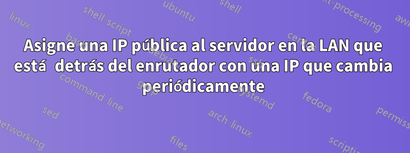 Asigne una IP pública al servidor en la LAN que está detrás del enrutador con una IP que cambia periódicamente