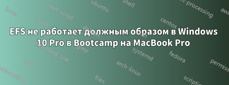 EFS не работает должным образом в Windows 10 Pro в Bootcamp на MacBook Pro