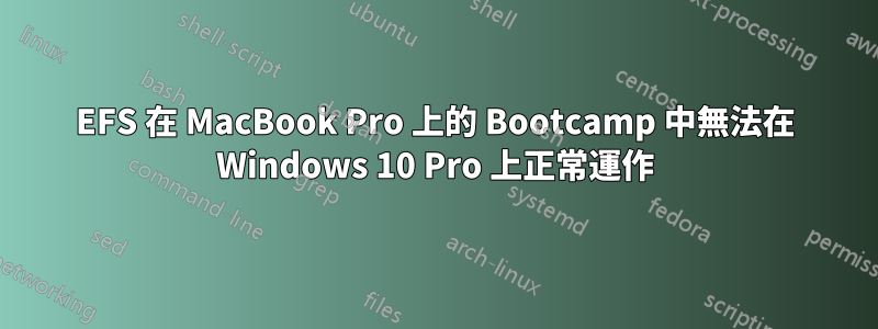 EFS 在 MacBook Pro 上的 Bootcamp 中無法在 Windows 10 Pro 上正常運作