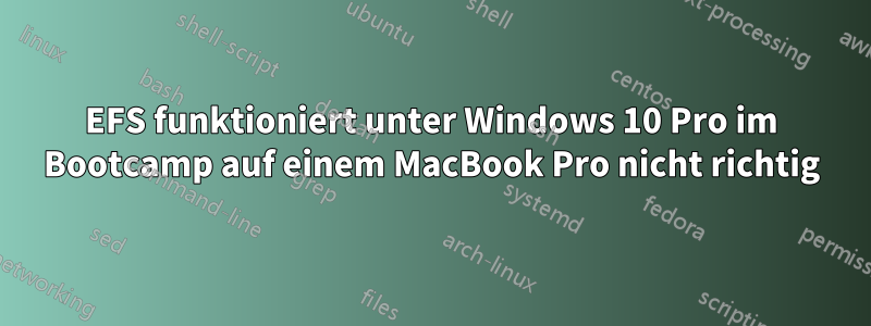 EFS funktioniert unter Windows 10 Pro im Bootcamp auf einem MacBook Pro nicht richtig