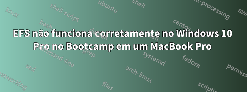 EFS não funciona corretamente no Windows 10 Pro no Bootcamp em um MacBook Pro