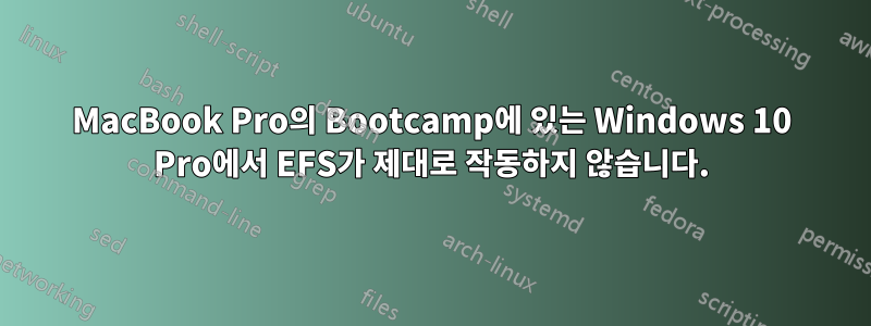 MacBook Pro의 Bootcamp에 있는 Windows 10 Pro에서 EFS가 제대로 작동하지 않습니다.