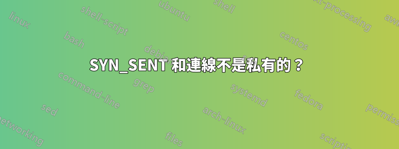 SYN_SENT 和連線不是私有的？