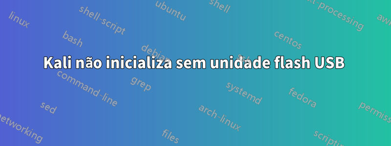 Kali não inicializa sem unidade flash USB