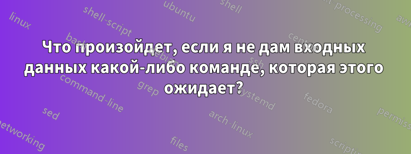 Что произойдет, если я не дам входных данных какой-либо команде, которая этого ожидает?