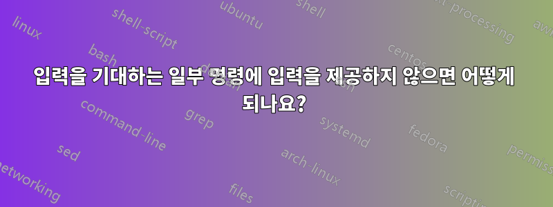 입력을 기대하는 일부 명령에 입력을 제공하지 않으면 어떻게 되나요?