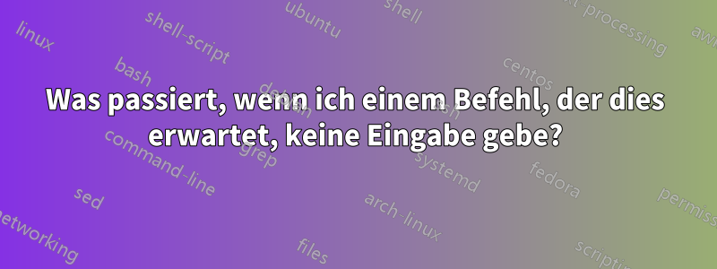 Was passiert, wenn ich einem Befehl, der dies erwartet, keine Eingabe gebe?