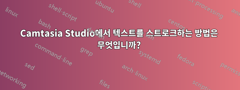 Camtasia Studio에서 텍스트를 스트로크하는 방법은 무엇입니까?