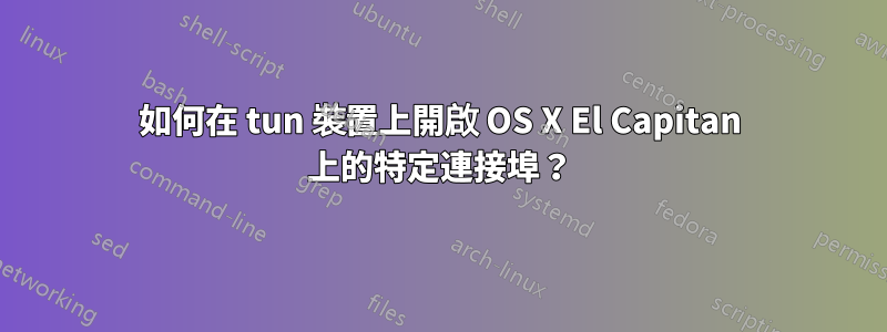 如何在 tun 裝置上開啟 OS X El Capitan 上的特定連接埠？