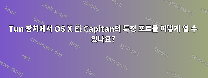 Tun 장치에서 OS X El Capitan의 특정 포트를 어떻게 열 수 있나요?