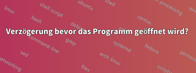 Verzögerung bevor das Programm geöffnet wird?