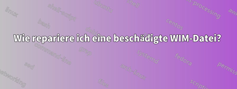 Wie repariere ich eine beschädigte WIM-Datei?