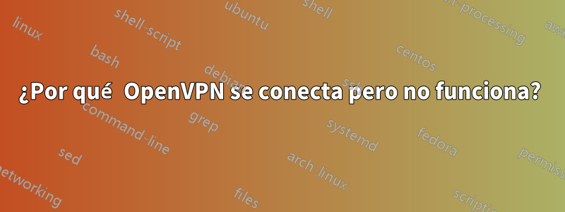 ¿Por qué OpenVPN se conecta pero no funciona?