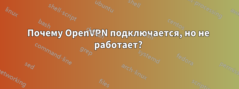 Почему OpenVPN подключается, но не работает?