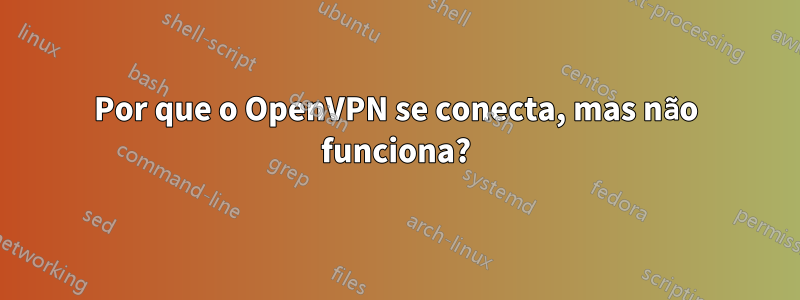 Por que o OpenVPN se conecta, mas não funciona?