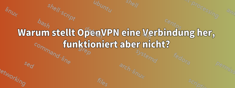 Warum stellt OpenVPN eine Verbindung her, funktioniert aber nicht?