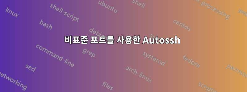 비표준 포트를 사용한 Autossh