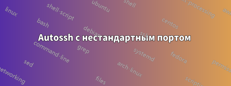 Autossh с нестандартным портом