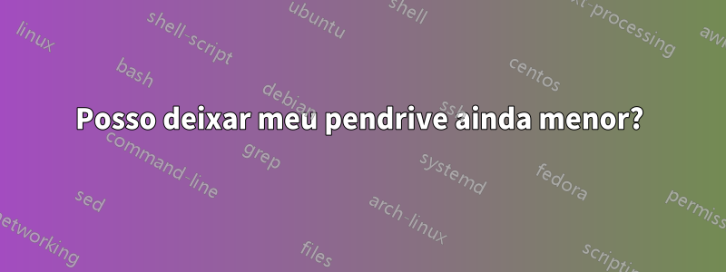 Posso deixar meu pendrive ainda menor?