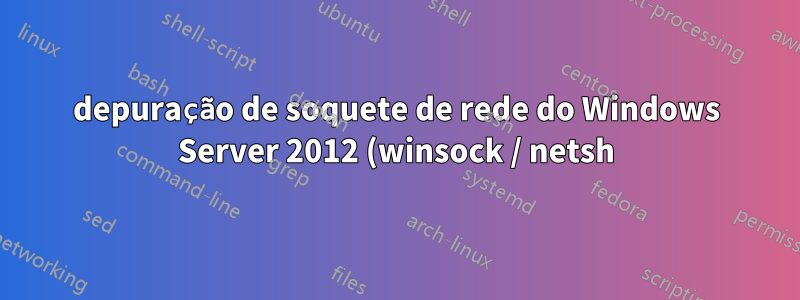 depuração de soquete de rede do Windows Server 2012 (winsock / netsh) - ferramentas de depuração