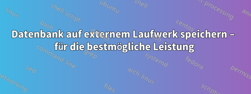 Datenbank auf externem Laufwerk speichern – für die bestmögliche Leistung