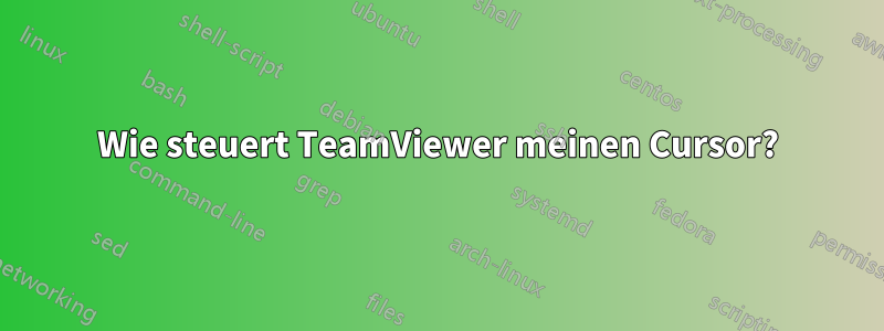 Wie steuert TeamViewer meinen Cursor?