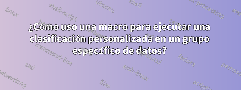 ¿Cómo uso una macro para ejecutar una clasificación personalizada en un grupo específico de datos?