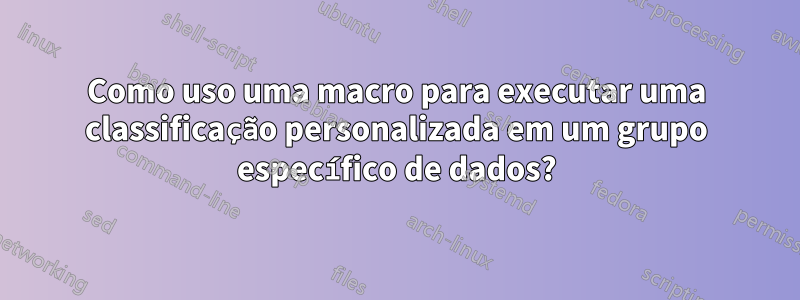 Como uso uma macro para executar uma classificação personalizada em um grupo específico de dados?