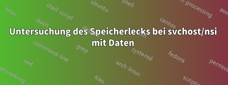 Untersuchung des Speicherlecks bei svchost/nsi mit Daten