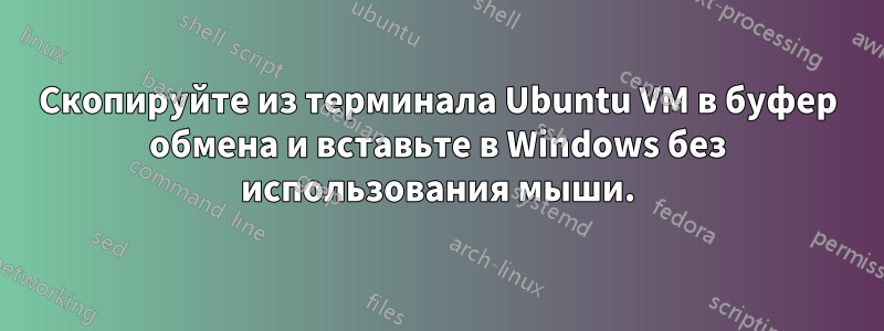 Скопируйте из терминала Ubuntu VM в буфер обмена и вставьте в Windows без использования мыши.