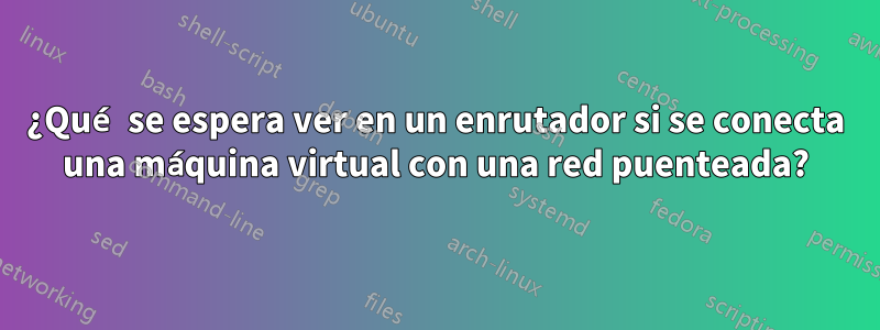 ¿Qué se espera ver en un enrutador si se conecta una máquina virtual con una red puenteada?