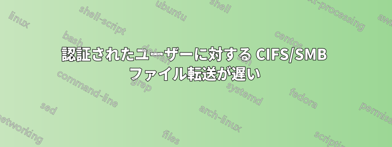 認証されたユーザーに対する CIFS/SMB ファイル転送が遅い