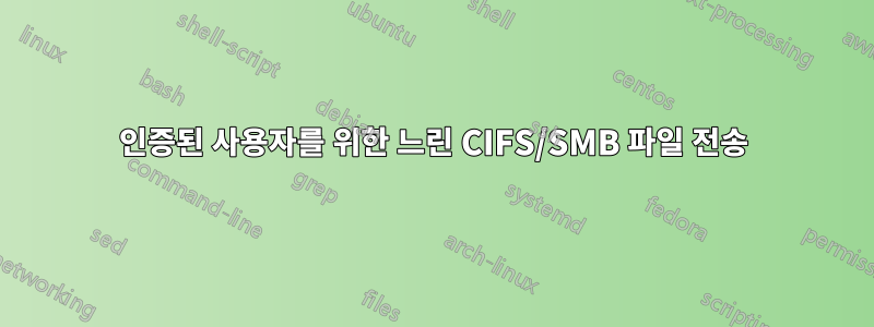 인증된 사용자를 위한 느린 CIFS/SMB 파일 전송