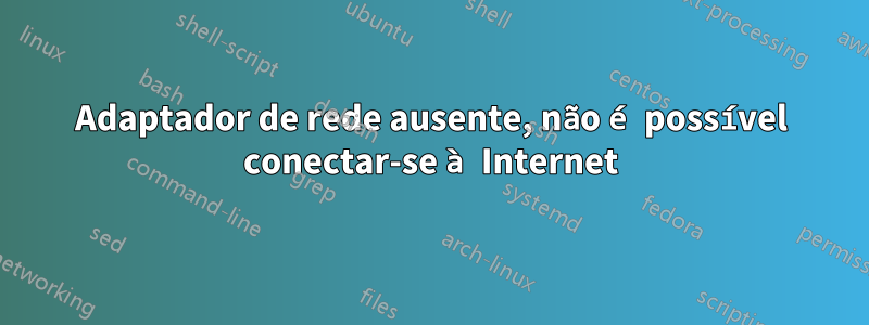 Adaptador de rede ausente, não é possível conectar-se à Internet