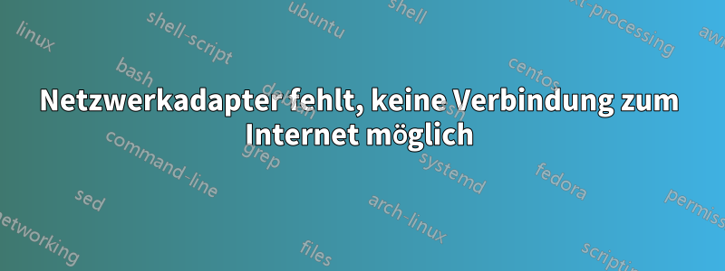 Netzwerkadapter fehlt, keine Verbindung zum Internet möglich