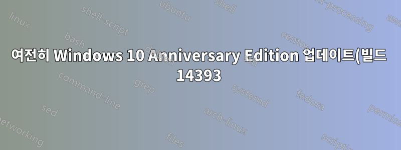 여전히 Windows 10 Anniversary Edition 업데이트(빌드 14393)를 수신하지 못함