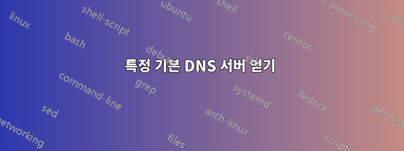 특정 기본 DNS 서버 얻기