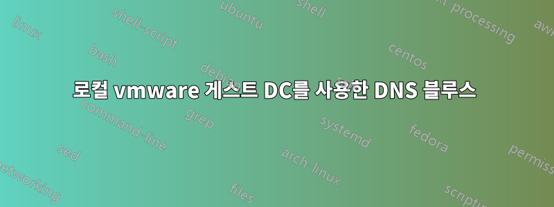 로컬 vmware 게스트 DC를 사용한 DNS 블루스