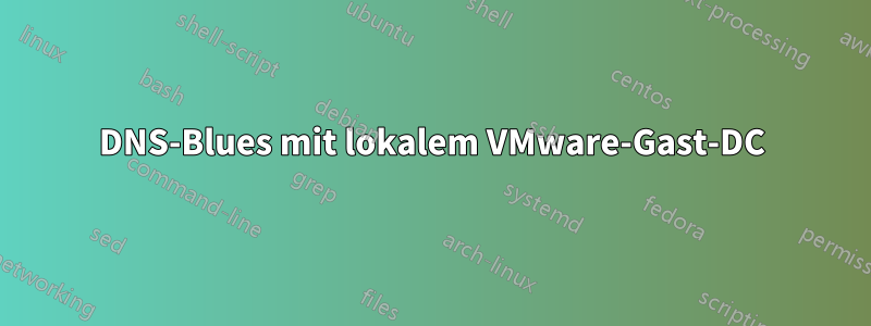 DNS-Blues mit lokalem VMware-Gast-DC