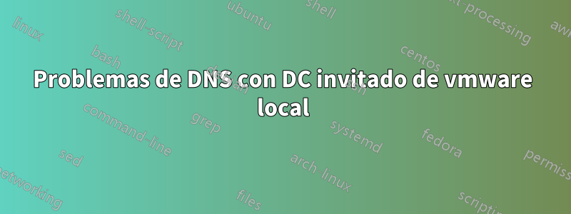 Problemas de DNS con DC invitado de vmware local