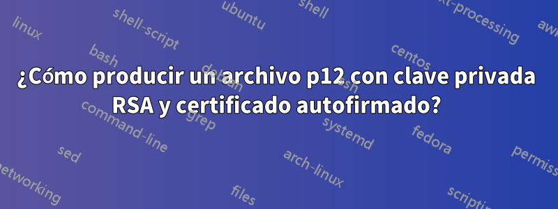 ¿Cómo producir un archivo p12 con clave privada RSA y certificado autofirmado?