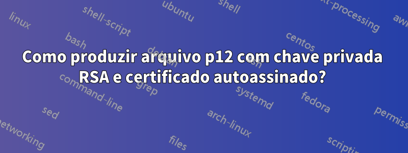 Como produzir arquivo p12 com chave privada RSA e certificado autoassinado?