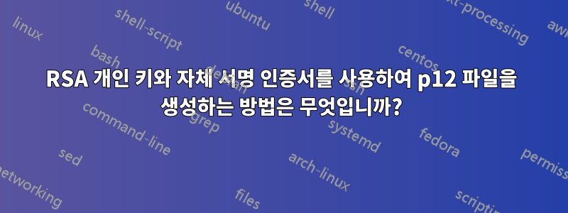 RSA 개인 키와 자체 서명 인증서를 사용하여 p12 파일을 생성하는 방법은 무엇입니까?