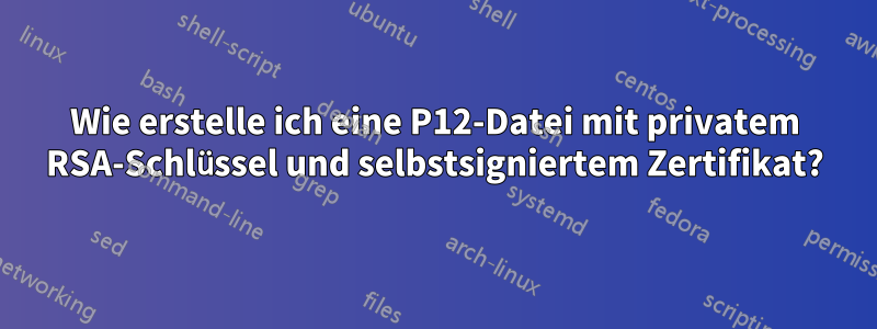 Wie erstelle ich eine P12-Datei mit privatem RSA-Schlüssel und selbstsigniertem Zertifikat?