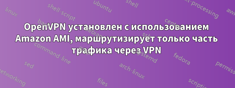 OpenVPN установлен с использованием Amazon AMI, маршрутизирует только часть трафика через VPN