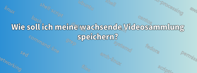 Wie soll ich meine wachsende Videosammlung speichern?